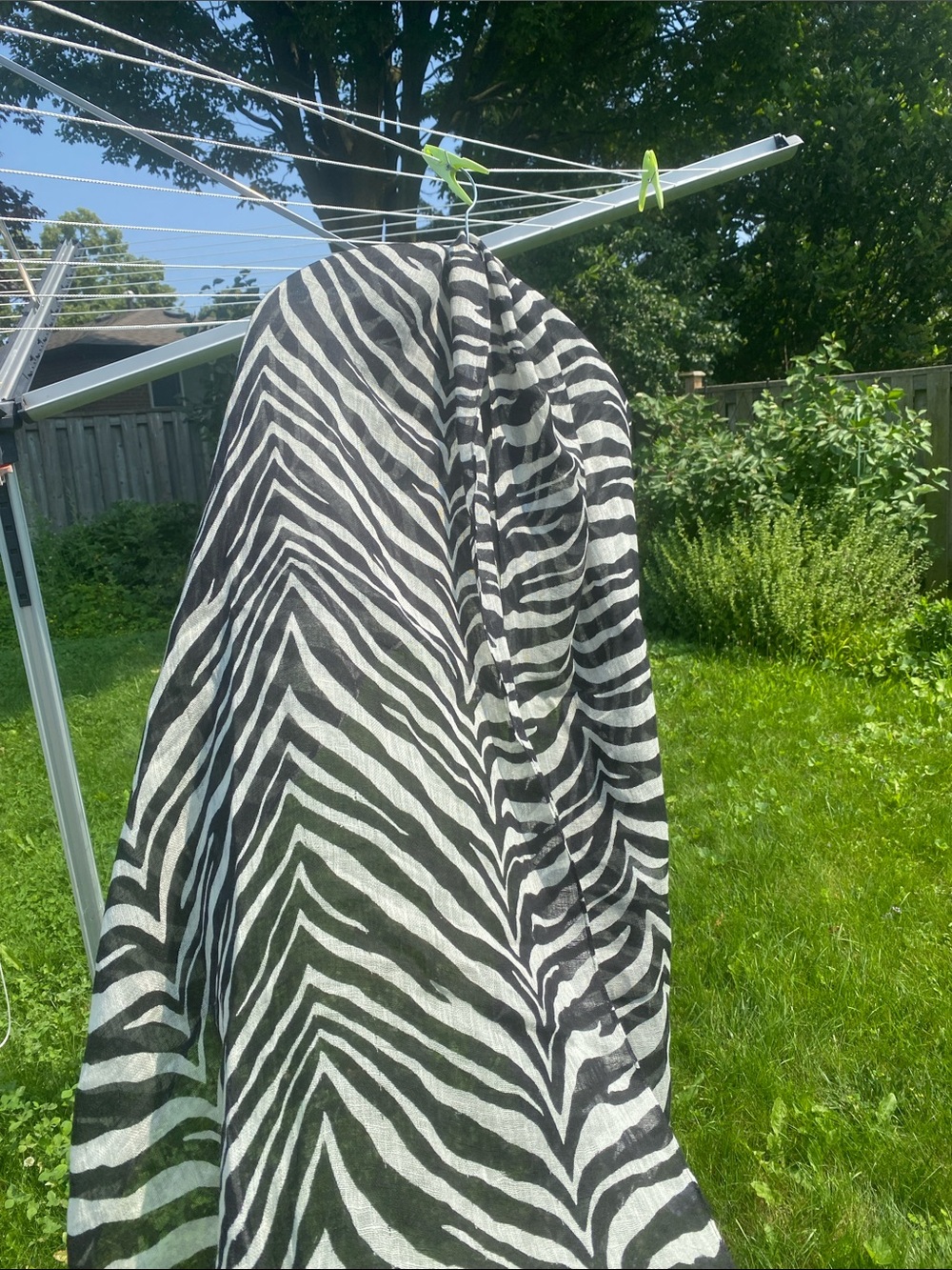 Talbots Black and White Zebra-Print scarf
